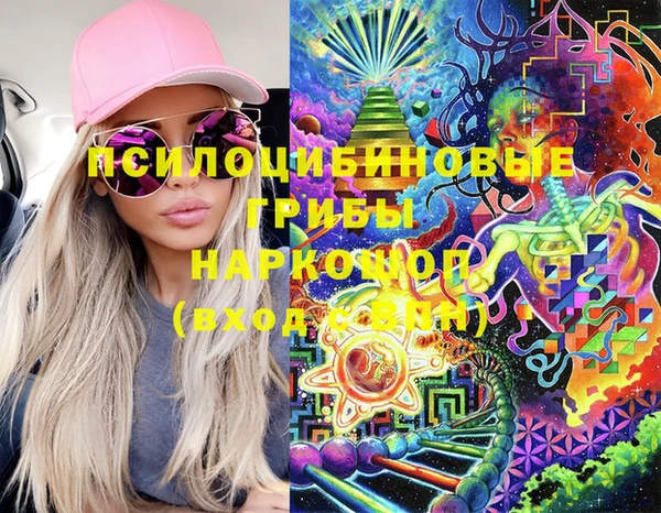 сатива Алзамай