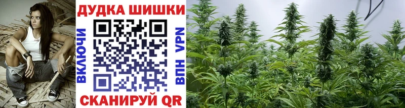 Шишки марихуана OG Kush Пошехонье